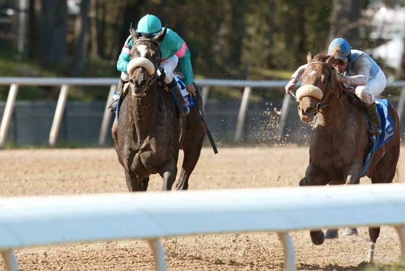 Zenyatta and other horses running in a race.