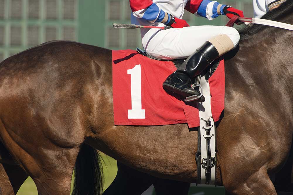Jockey on horse with red cloth with the number 1 on it.