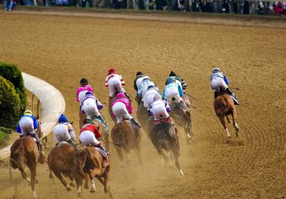 Horses on a Racetrack