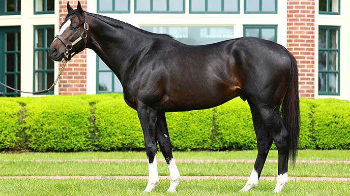 HONOR CODE CONFORMATION