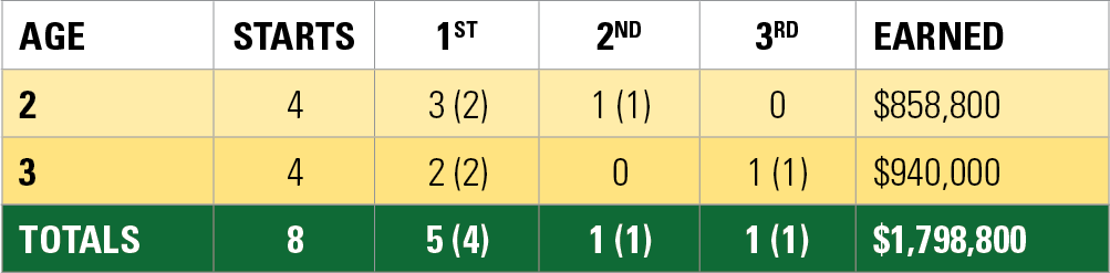 Union Rags Race Record