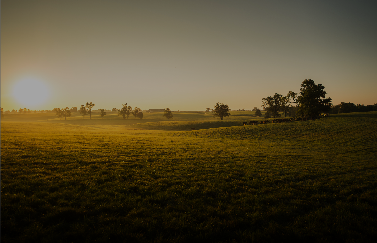 lanes end field