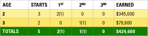 Daredevil Race Record