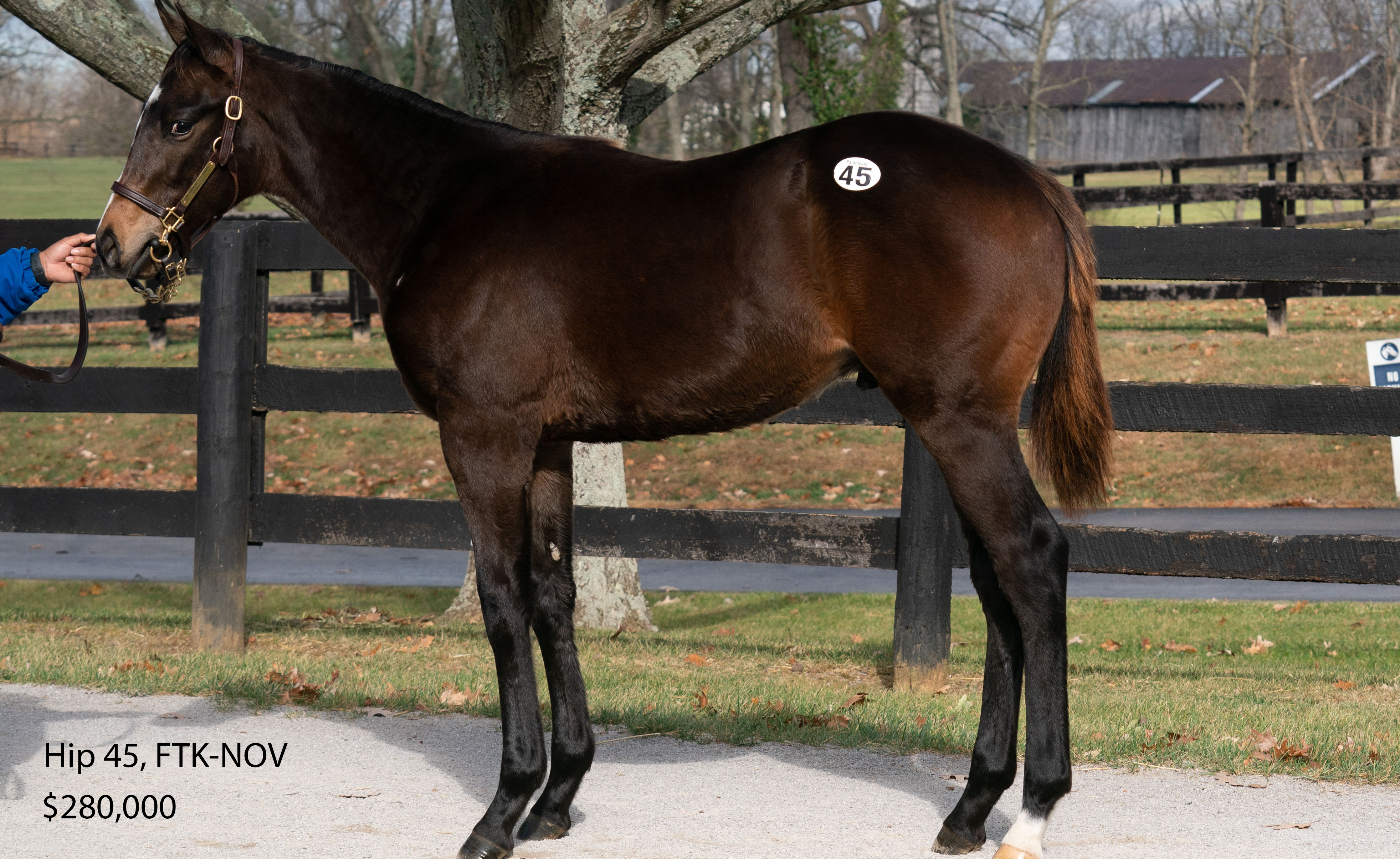 Image of Hip 45