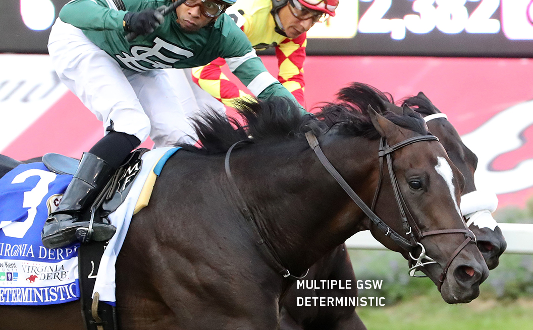 Multiple Graded Stakes Winner Deterministic 