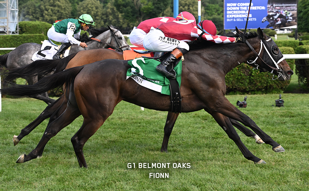 G1 Winner Fionn