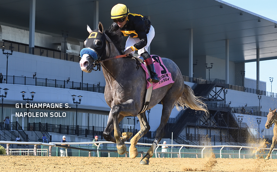 G1 Winner Napoleon Solo