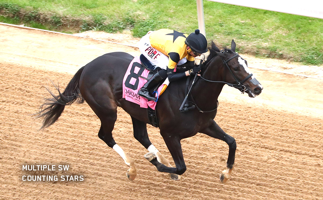 Multiple SW Winner Counting Stars