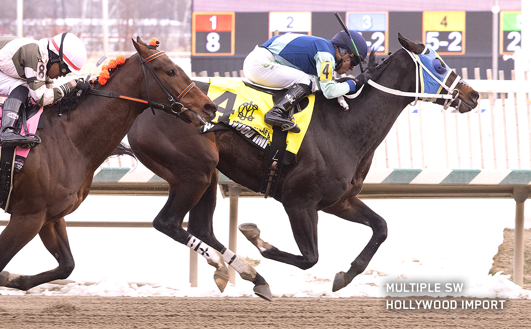 Multiple SW Hollywood Import