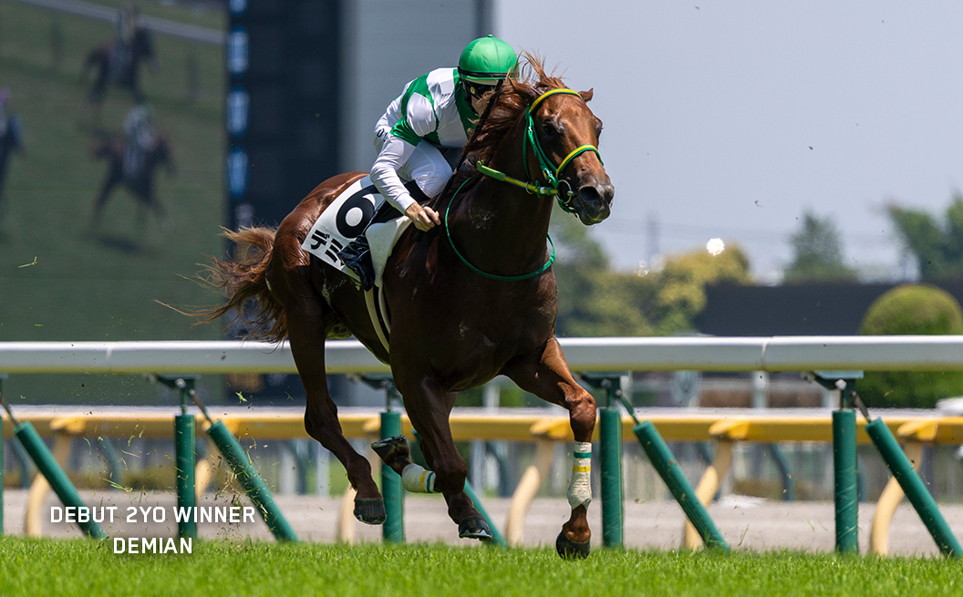2YO Winner Demian