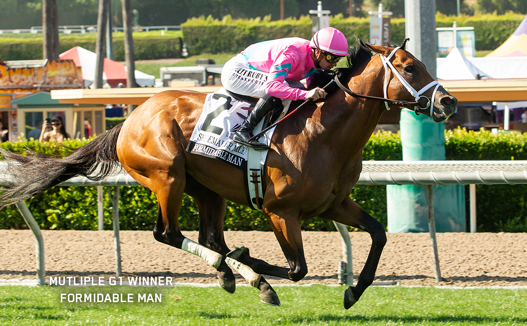 Multiple G1 Winner Formidable Man