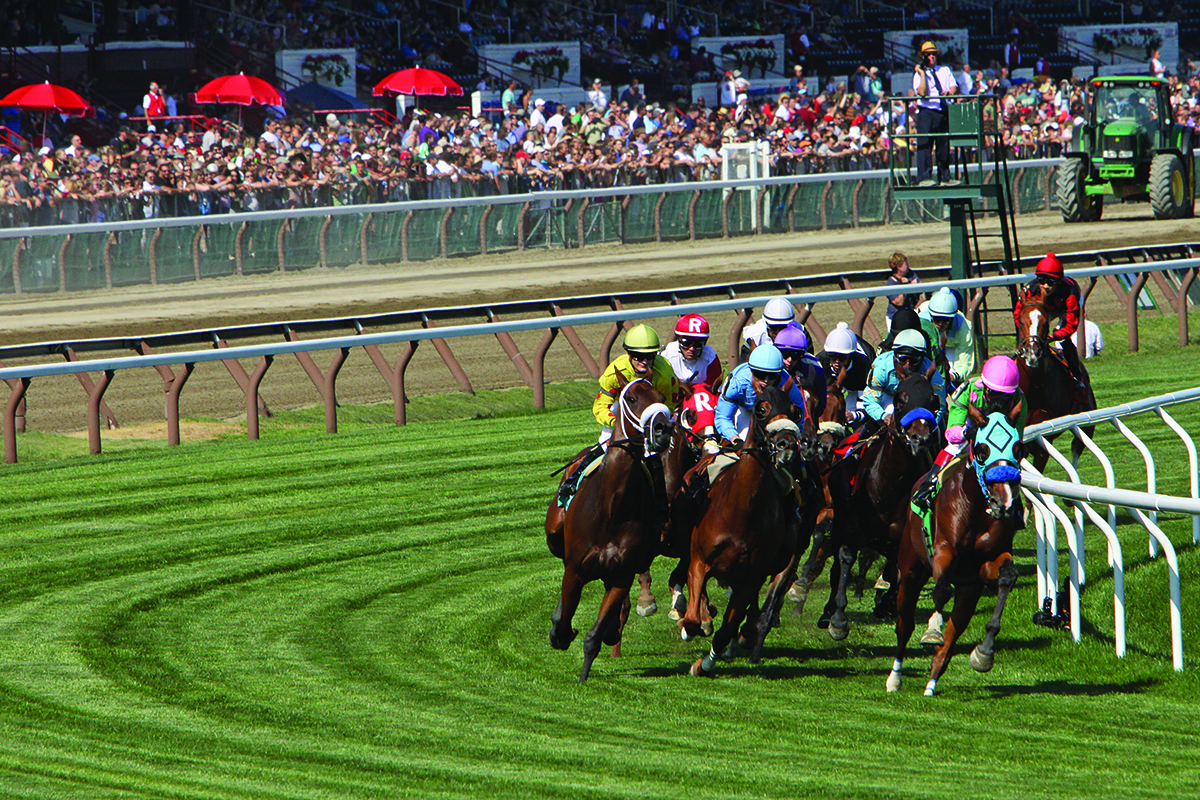 Horses racing on a racetrack