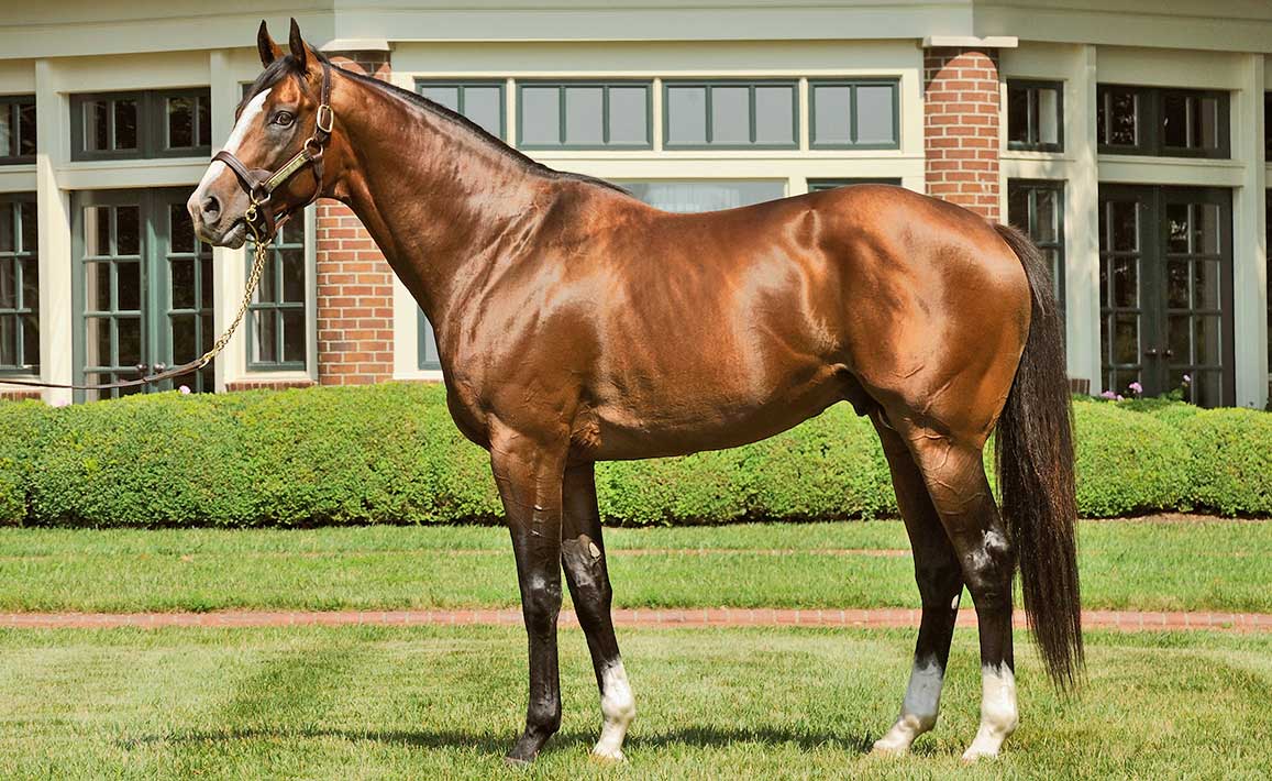 Confirmation Image for Union Rags