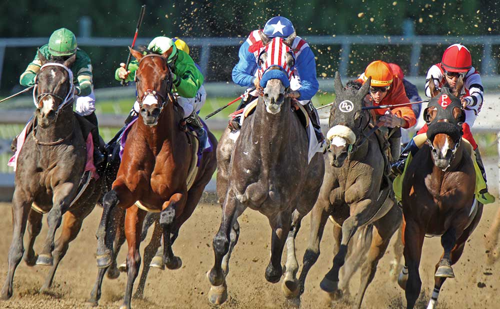 jockeys on horses racing