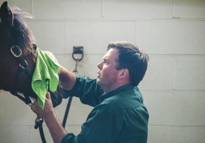 Peter Sheehan taking care of a horse