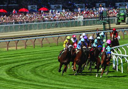 Horses running on a racetrack