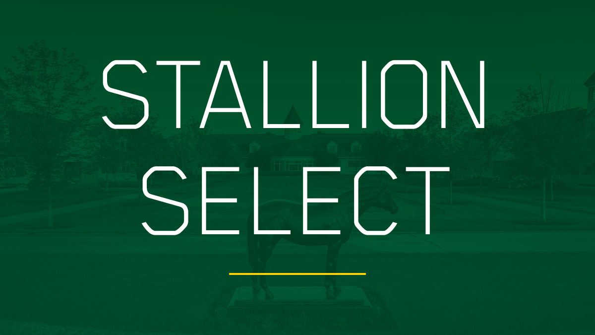 Stallion Select | Lane's End